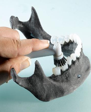 Dental Prototypes